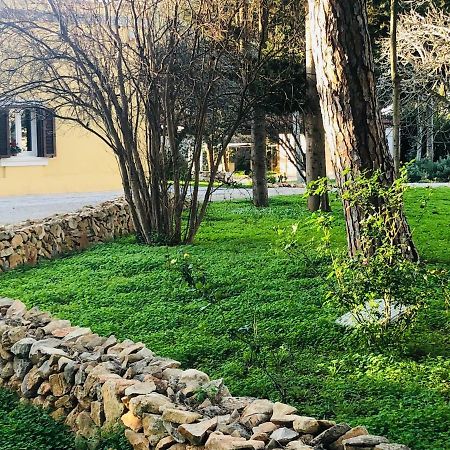 Villa In Salento Lecce Eksteriør bilde